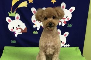 9月のお友達☆
