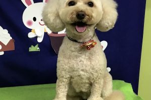 ９月のお友達☆