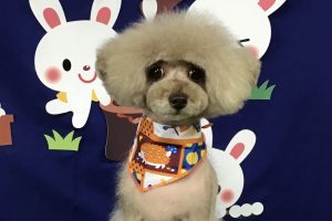 9月のお友達☆