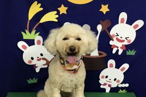 9月のお友達☆