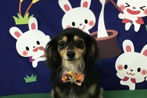 ９月のお友達☆