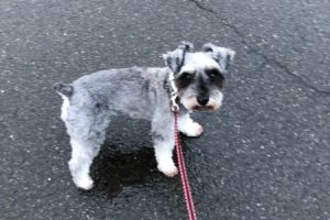 お泊まり☆