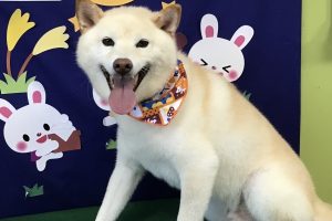 ９月のお友達☆