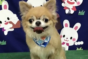 9月のお友達☆