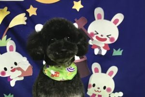 9月のお友達☆