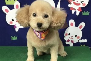9月のお友達☆