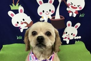 9月のお友達☆