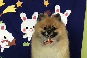 9月のお友達☆