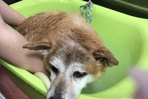 ９月のお友達☆