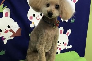 9月のお友達☆