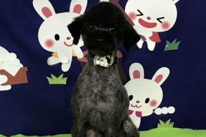 9月のお友達☆