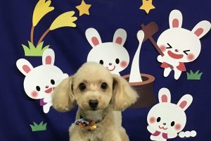 ９月のお友達☆
