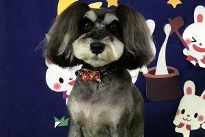 9月のお友達☆