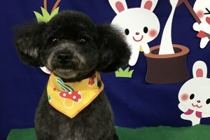 ９月のお友達☆
