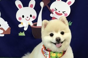 ９月のお友達☆