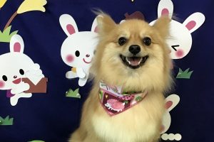 ９月のお友達☆