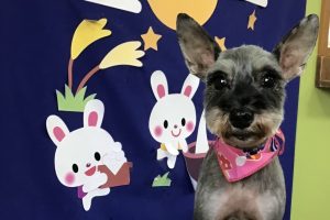 9月のお友達☆