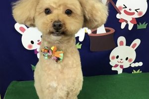 9月のお友達☆