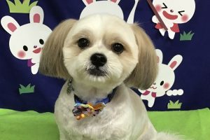 ９月のお友達☆