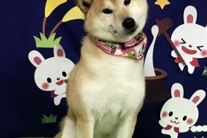 ９月のお友達☆