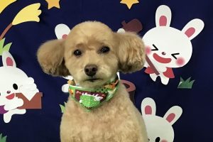 9月のお友達☆