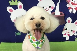 9月のお友達☆