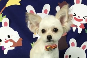 9月のお友達☆