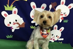 ９月のお友達☆