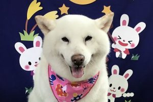 9月のお友達☆