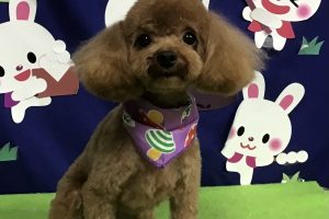 9月のお友達☆