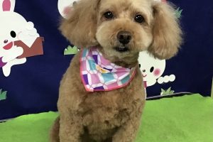 9月のお友達☆