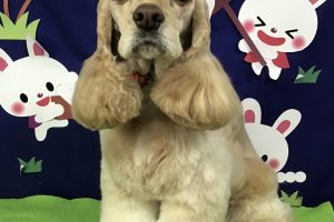 9月のお友達☆
