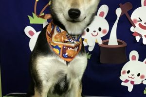 ９月のお友達☆