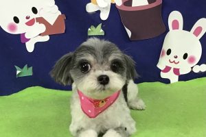 9月のお友達☆