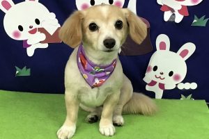 9月のお友達☆