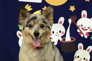 9月のお友達☆