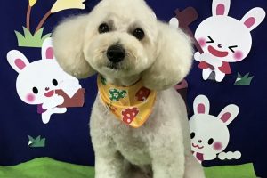9月のお友達☆