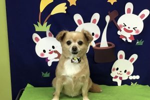 9月のお友達☆