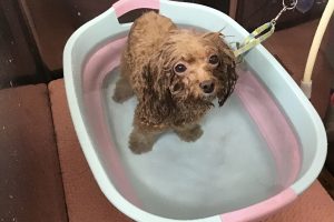 9月のお友達☆