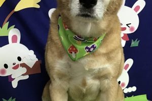 9月のお友達☆