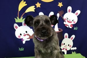 9月のお友達☆