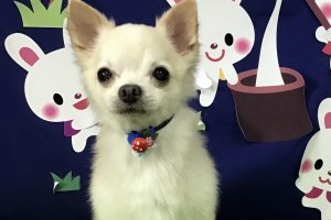 9月のお友達☆