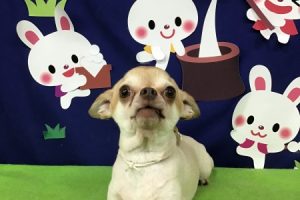 9月のお友達☆