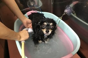 ９月のお友達☆