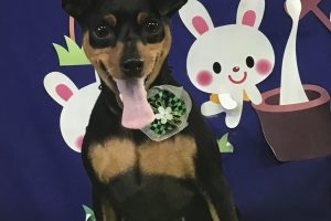 ９月のお友達☆