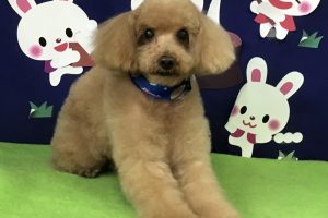9月のお友達☆