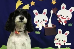 9月のお友達☆