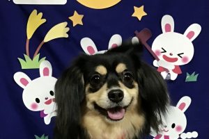 9月のお友達☆