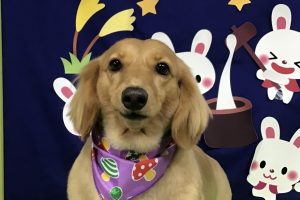 ９月のお友達☆