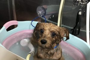 9月のお友達☆